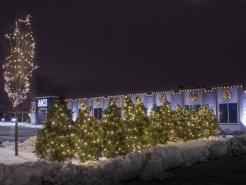 winter-christmas-lights-barrington