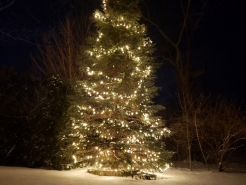 20220102_174841