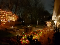 Back-Yard1