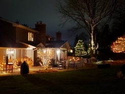 Back-Yard2