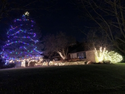 Bainbridge-Display1