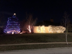 Bainbridge-Display2