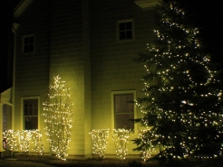 mini-lights-naperville