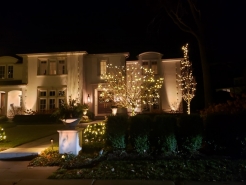 Crawshaw-Display-2