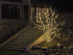 holiday-light-installation-st-charles
