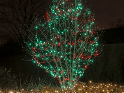 xmas-light-hanger-burr-ridge
