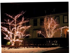 mini-light-installation-burr-ridge