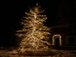 xmas-light-display-st-charles