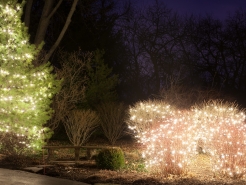christmas-mini-lights-st-charles