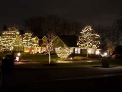 Front-Yard1