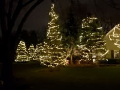 Front-Yard2
