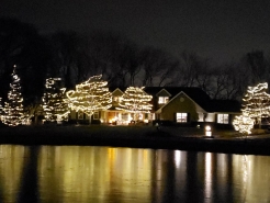 Front-Yard3