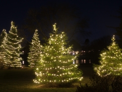 xmas-light-installation-glen-ellyn