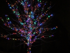 xmas-tree-lights-south-barrington