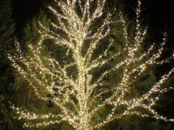 xmas-light-company-st-charles