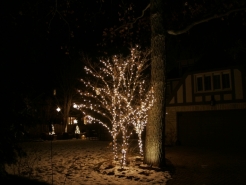 holiday-light-hanging-winnetka