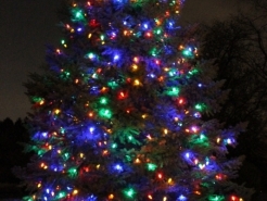 xmas-light-contractor-winnetka