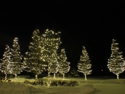 mini-christmas-light-installer-south-barrington
