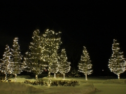 christmas-light-contractor-glen-ellyn