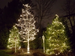 holiday-landscape-lighting-south-barrington