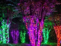 lighting