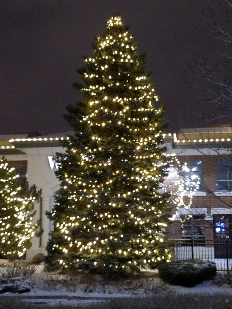 Tall evergreen covered in warm white lights beside a lit building entrance at night