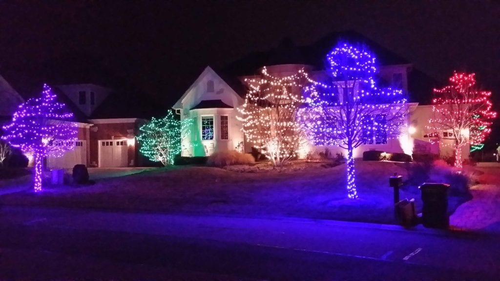 Front yard trees wrapped in purple, green, white, blue and red lights in front of a house at night
