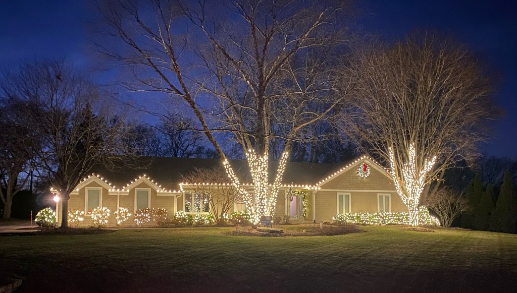 Ranch house at dusk with warm white roofline lights and two large bare trees wrapped in warm white lights